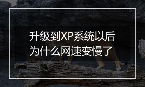 升级到XP系统以后为什么网速变慢了