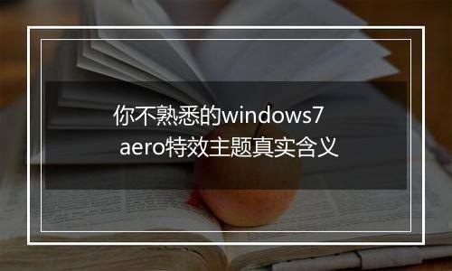 你不熟悉的windows7 aero特效主题真实含义
