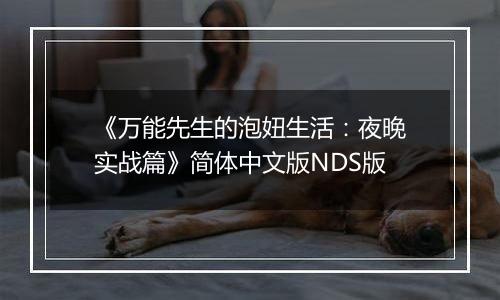 《万能先生的泡妞生活：夜晚实战篇》简体中文版NDS版
