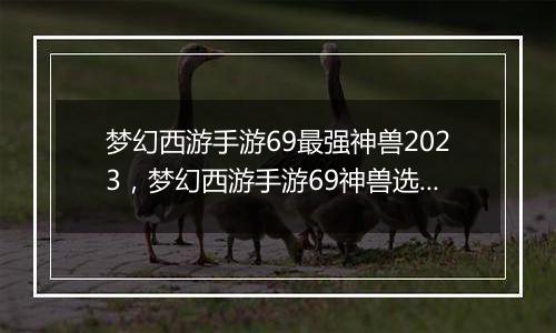 梦幻西游手游69最强神兽2023，梦幻西游手游69神兽选择