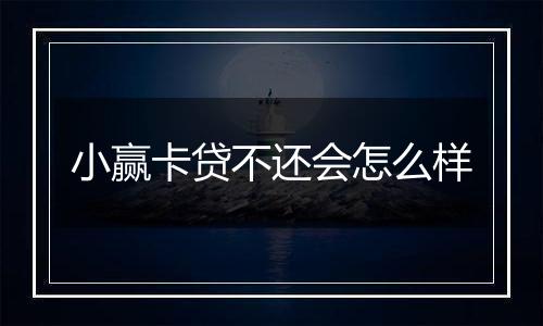 小赢卡贷不还会怎么样