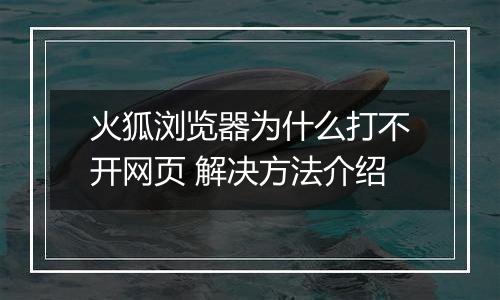 火狐浏览器为什么打不开网页 解决方法介绍