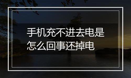 手机充不进去电是怎么回事还掉电