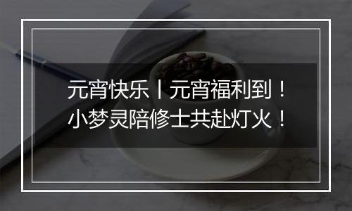 元宵快乐丨元宵福利到！小梦灵陪修士共赴灯火！