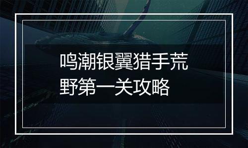 鸣潮银翼猎手荒野第一关攻略