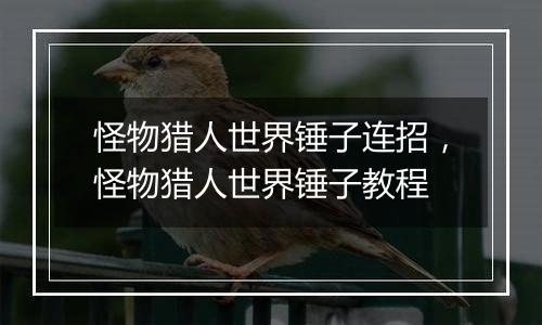 怪物猎人世界锤子连招，怪物猎人世界锤子教程