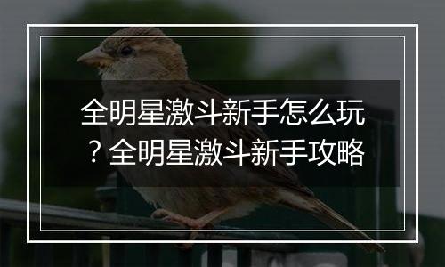全明星激斗新手怎么玩？全明星激斗新手攻略