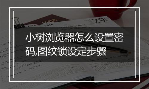 小树浏览器怎么设置密码,图纹锁设定步骤