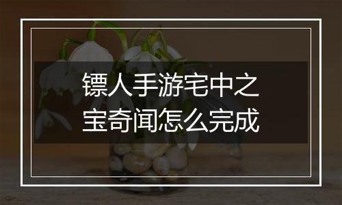 镖人手游宅中之宝奇闻怎么完成