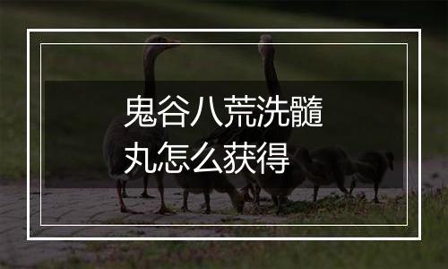 鬼谷八荒洗髓丸怎么获得