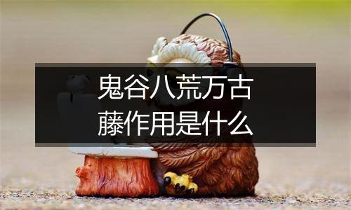 鬼谷八荒万古藤作用是什么