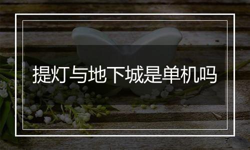 提灯与地下城是单机吗