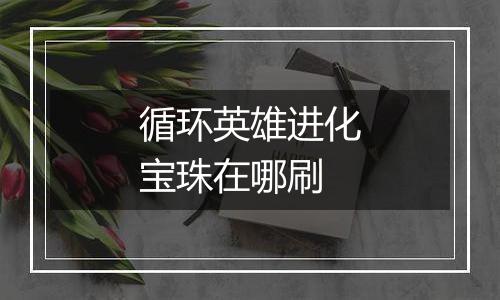 循环英雄进化宝珠在哪刷
