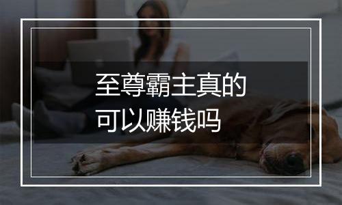 至尊霸主真的可以赚钱吗