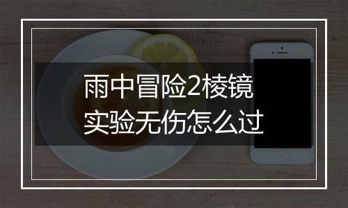 雨中冒险2棱镜实验无伤怎么过