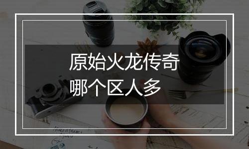 原始火龙传奇哪个区人多