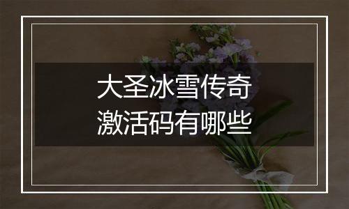 大圣冰雪传奇激活码有哪些