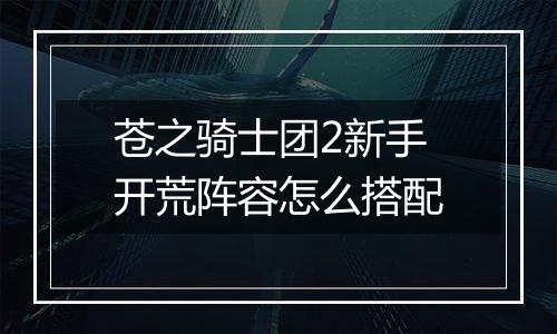 苍之骑士团2新手开荒阵容怎么搭配