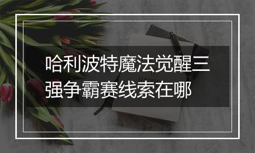 哈利波特魔法觉醒三强争霸赛线索在哪