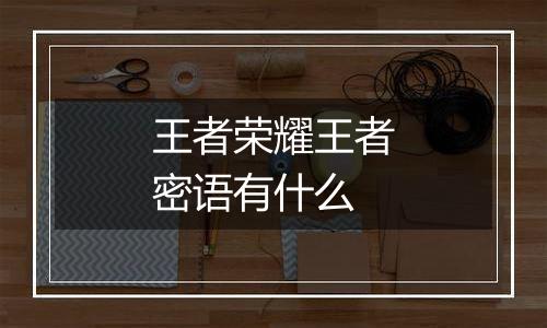 王者荣耀王者密语有什么