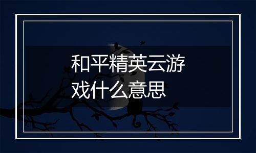 和平精英云游戏什么意思
