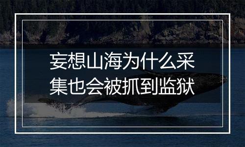 妄想山海为什么采集也会被抓到监狱