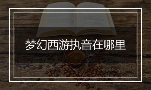 梦幻西游执音在哪里