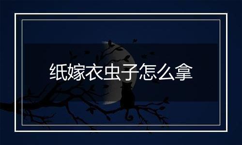 纸嫁衣虫子怎么拿