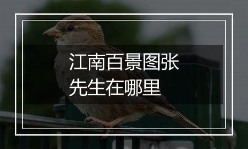 江南百景图张先生在哪里