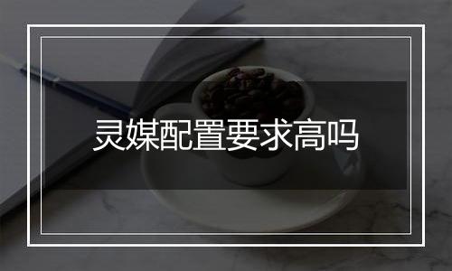 灵媒配置要求高吗