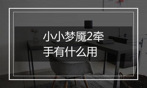 小小梦魇2牵手有什么用