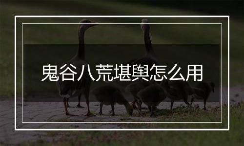 鬼谷八荒堪舆怎么用