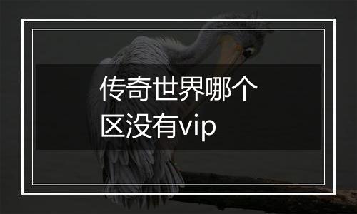 传奇世界哪个区没有vip
