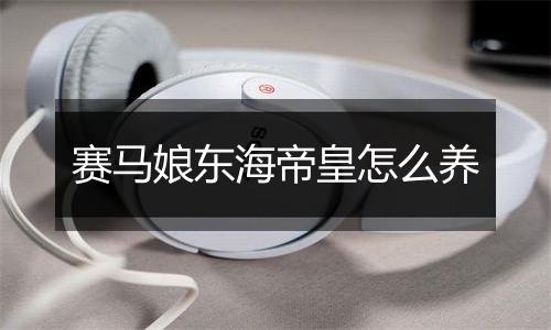赛马娘东海帝皇怎么养