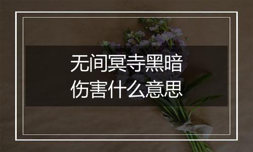 无间冥寺黑暗伤害什么意思