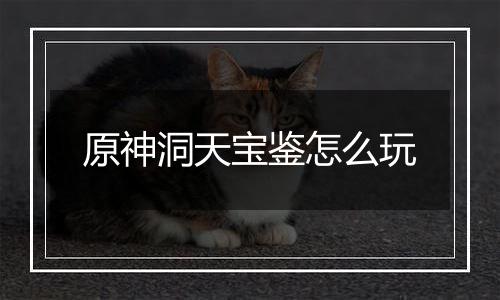 原神洞天宝鉴怎么玩