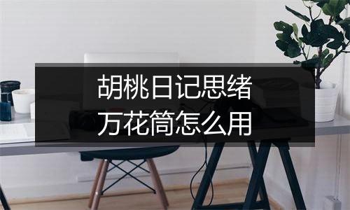 胡桃日记思绪万花筒怎么用