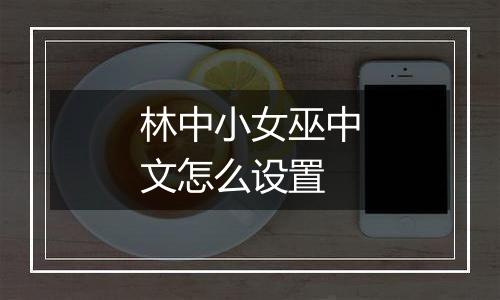 林中小女巫中文怎么设置