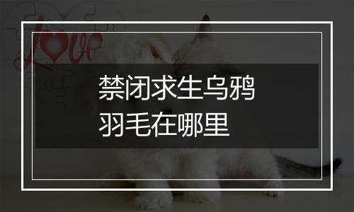 禁闭求生乌鸦羽毛在哪里