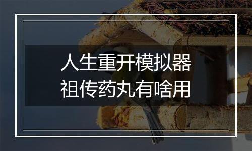 人生重开模拟器祖传药丸有啥用