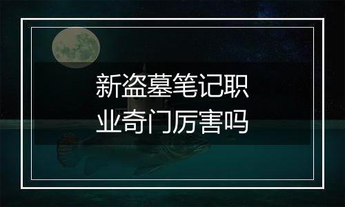 新盗墓笔记职业奇门厉害吗
