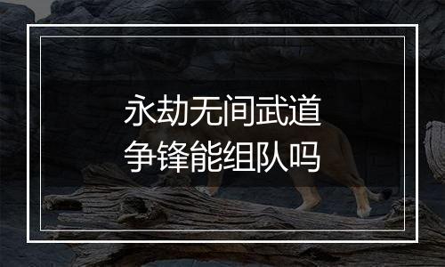 永劫无间武道争锋能组队吗
