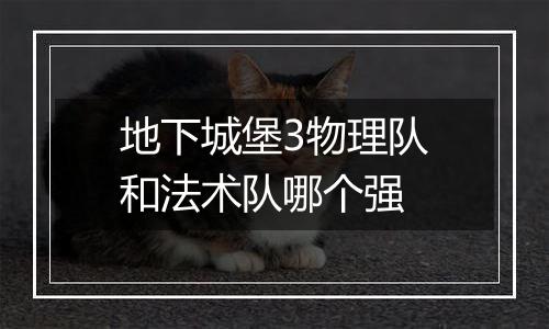 地下城堡3物理队和法术队哪个强