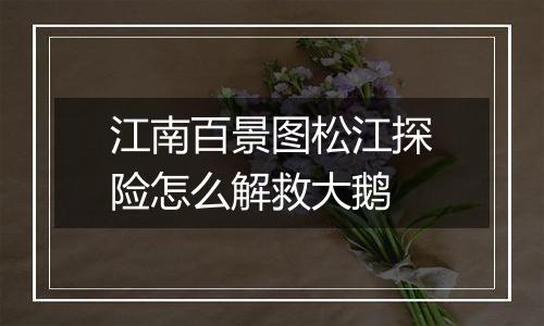 江南百景图松江探险怎么解救大鹅