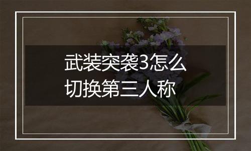 武装突袭3怎么切换第三人称