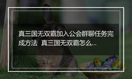 真三国无双霸加入公会群聊任务完成方法  真三国无双霸怎么加入公会群聊