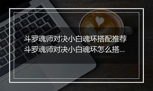 斗罗魂师对决小白魂环搭配推荐 斗罗魂师对决小白魂环怎么搭配