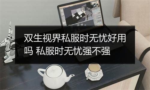 双生视界私服时无忧好用吗 私服时无忧强不强