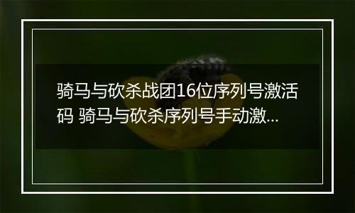 骑马与砍杀战团16位序列号激活码 骑马与砍杀序列号手动激活 骑马与砍杀免费序列号