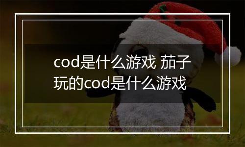 cod是什么游戏 茄子玩的cod是什么游戏